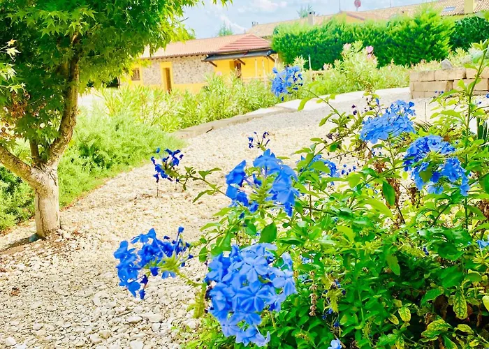 Apartament Il Crivellin *